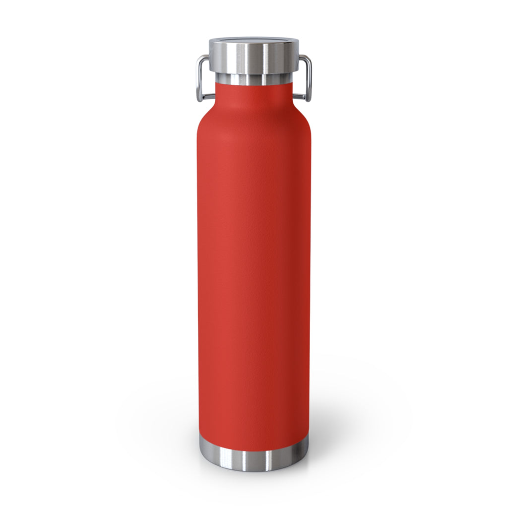 Insulated 22oz Patriotic Stainless Bottle — "Comes For All 250 Years of Freedom and Service"